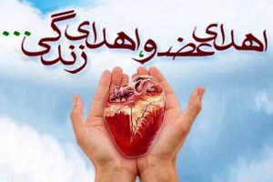 اعضای نام آور گیلانی، نجاتبخش بیماران نیازمند پیوند شد