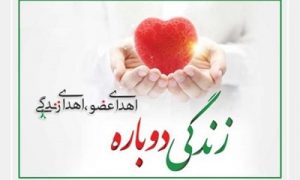 اهداء عضو، اهداء زندگی