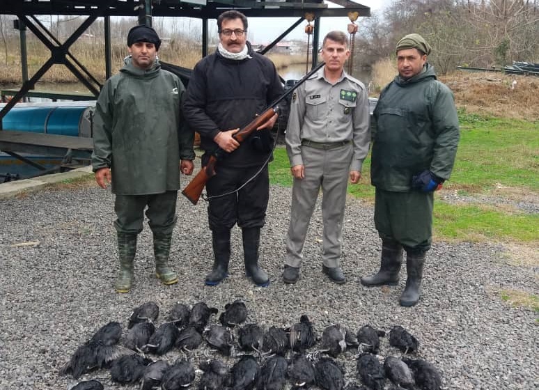 دستگیری شکارچی حرفه ای در انزلی