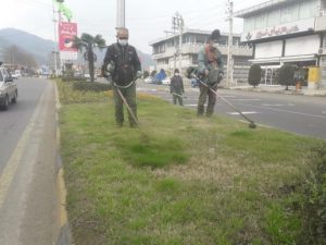 عملیات چمن زنی رفوژ میانی بلوار شهید عبدالکریمی و بلوار حافظ شهر لنگرود اجرا شد