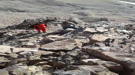 نجات دامدار ۷۰ ساله ازصخره های صعب العبور ارتفاعات شهرستان رودبار