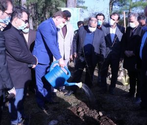 بازدید استاندار گیلان از اجرای طرح زراعت چوب و غرس یک اصله نهال