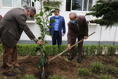 غرس نهال یادمان شهدای سلامت در دانشگاه علوم پزشکی گیلان