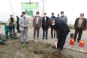 هم زمان با هفته منابع طبیعی و درخت کاری و با حضور سرپرست سازمان منطقه آزاد انزلی تعدادی نهال غرس شد