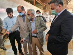 احیای باغات چای موجب رونق اشتغال و رفع مشکلات اقتصادی خانوارها