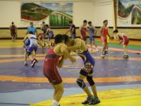 تیم ملی کشتی آزاد در انزلی اردو زد