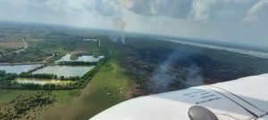 فروکش کردن آتش سوزی نیزارهای تالاب بندرانزلی