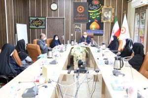 نشست بررسی مسائل مرتبط با اجرای شیوه نامه مراقبت از فرزندان فاقد مراقب موثر در بستر خدمات مبتنی بر خانواده ( طرح سوپر وایزر)