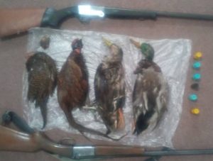 دستگیری ۴ شکارچی غیرمجاز به همراه ادوات شکار در سیاهکل