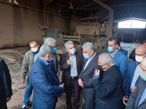 حفظ و توسعه ظرفیت های صنعتی استان، راهبرد اصلی سازمان صمت