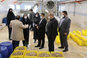 تلاش برای تسریع رشد اشتغال با حمایت از واحدهای تولیدی