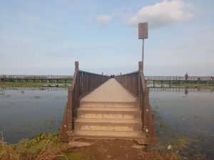 حال خوش این روزهای تالاب بین المللی انزلی