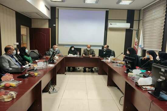 برگزاری جلسه نظارت و ارزیابی عملکرد کمیته های اجرایی مهندسی  مشاغل دانشگاه های قطب یک