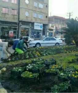به همت شهرداری املش صورت گرفت: کاشت گل و گیاه در فضاهای سبز شهر
