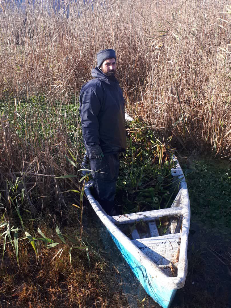 پاکسازی استخر های پارک فجر لنگرود از یک تهدید زیست محیطی