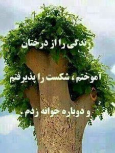 ادب و هنر ایرانی
