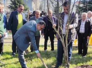 حضور رئیس شورای اسلامی شهر رشت در کاشت نهال