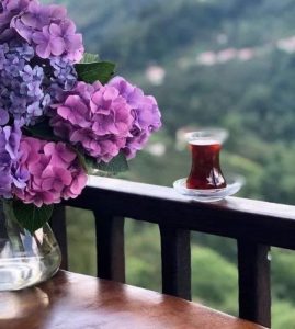 زندگی هدیه الهی ست