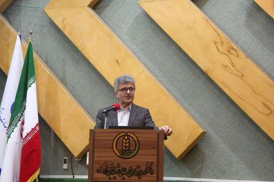 جمعیت فعال گیلان فرصت طلایی برای فرزندآوری است⁄ نقش برجسته اساتید در تغییر اندیشۀ «ازدواجهراسی» و «مسئولیتگریزی»