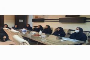 به همت مدیریت امور پرستاری دانشگاه علوم پزشکی گیلان صورت گرفت: برگزاری وبینار آموزش خودمراقبتی در سالمندی
