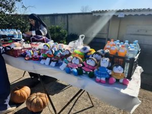 برگزاری جشنواره بازی های بومی محلی در شهرستان آستانه اشرفیه