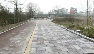 آغاز عملیات نصب کفپوش بتنی پیاده راه تالاب حاجی آباد لاهیجان