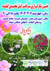 برگزاری جشن شکرگزاری برداشت گل‌محمدی در گیلان