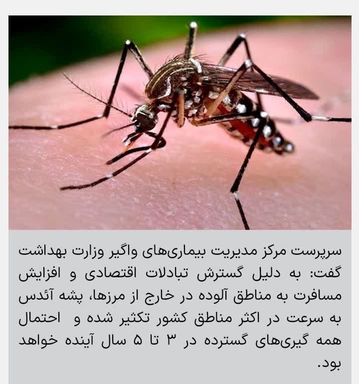 آمار مبتلایان به تب دنگی افزایش یافت، احتمال همه گیری‌ تا ۵ سال آینده