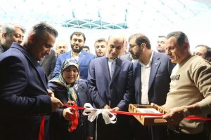 استاندار گیلان در بازدید از پروژه های عمرانی منطقه آزادانزلی تاکید کرد: لزوم تسریع در شهر صنعتی سوم منطقه آزاد به عنوان یک شاهکار صنعتی