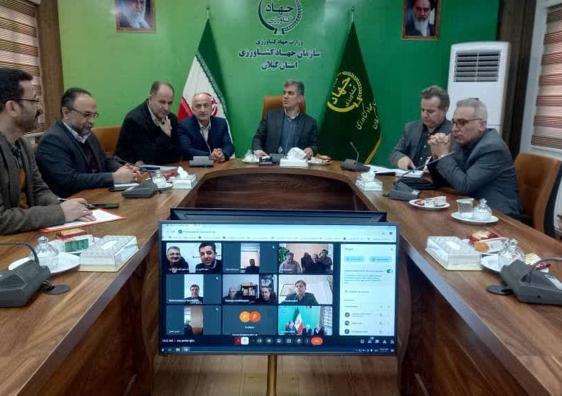 مدیرکل صمت گیلان :  طرح نظارتی ضربتی برنج در گیلان آغاز شد