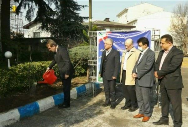 مدیر عامل شرکت برق منطقه ای گیلان: شرکت برق منطقهای گیلان پیشران لوکوموتیو توسعه در استان گیلان است
