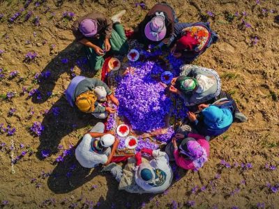 هفته کار و کارگر بر تمامی زحمتکشان عرصه کار و تلاش گرامی‌باد