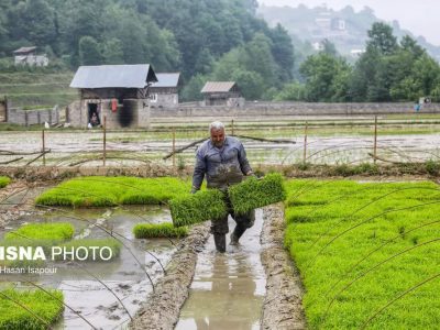 اراضی کشاورزی خرد صاحب سند می‌شوند