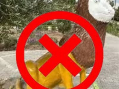 اطلاعیه سازمان سیما،منظر و فضای سبز شهری شهرداری رشت