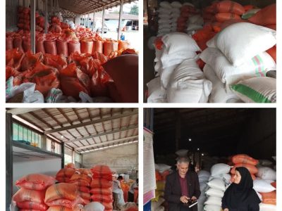 گشت مشترک کارشناسان اداره صمت و جهاد کشاورزی از کارخانه‌های شالیکوبی شهرستان سیاهکل