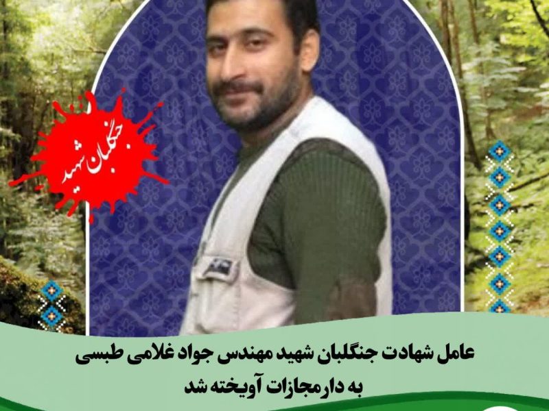عامل شهادت یک جنگلبان به دار آویخته شد