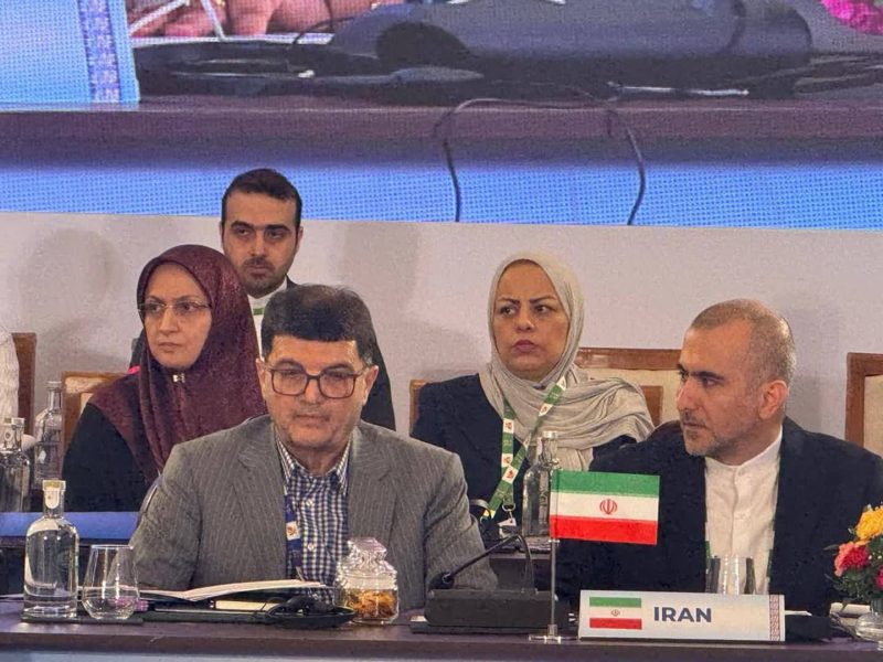 جانشین وزیر صنعت، معدن و تجارت در امور بازرگانی: ایران آماده گسترش همکاری‌های صنعتی پروژه‌محور با اعضای بریکس است